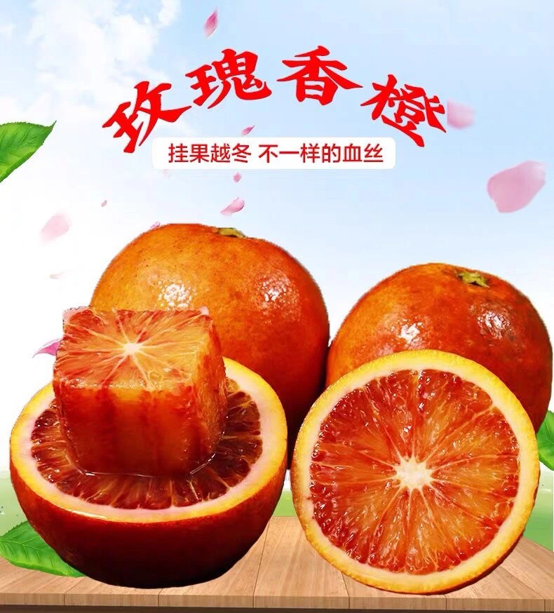 重庆奉节塔罗科玫瑰香血橙汁多爽口细嫩化渣酸甜可口水果