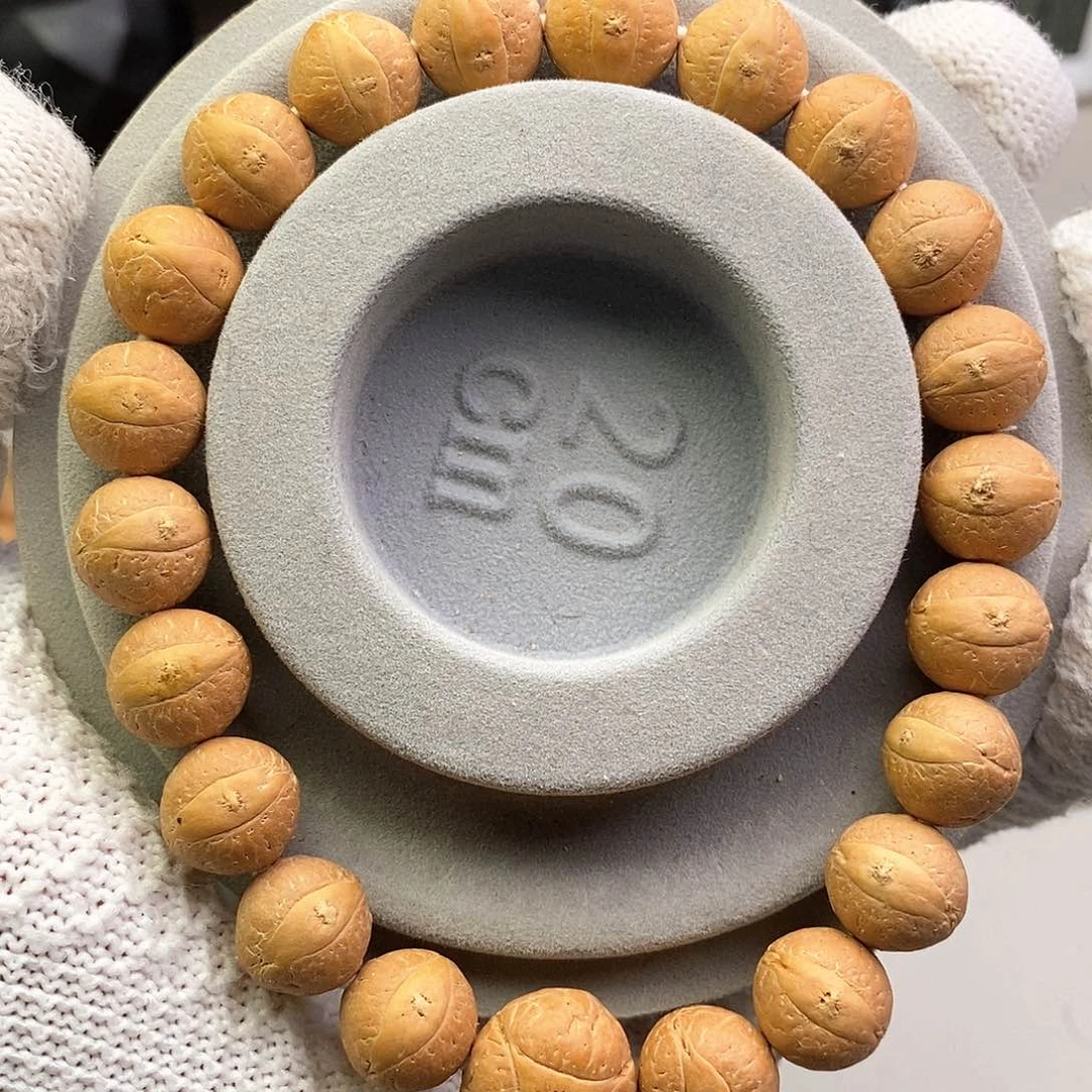 吊坠凤眼菩提12尺寸新籽