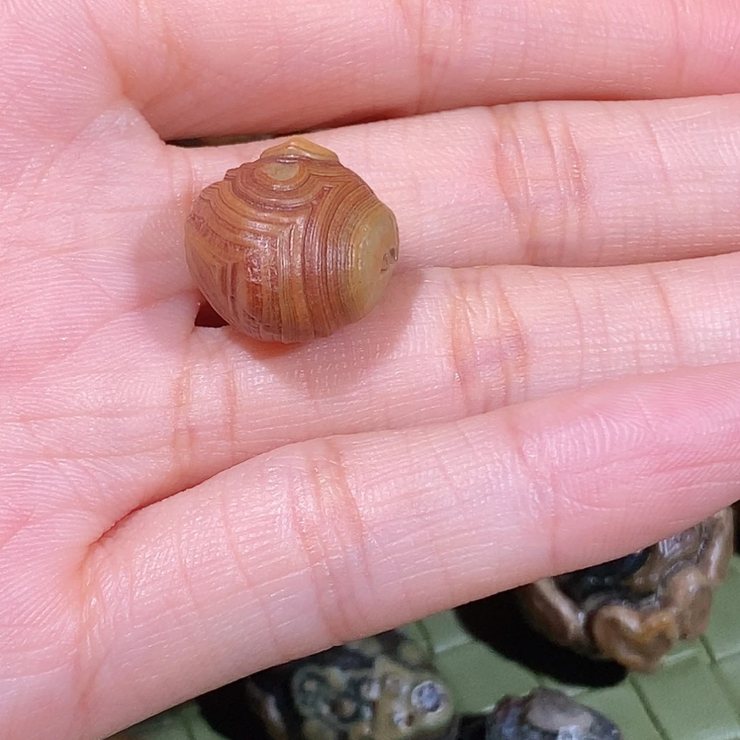 丁***杰石英石纯铜阿拉善沙漠地区单颗