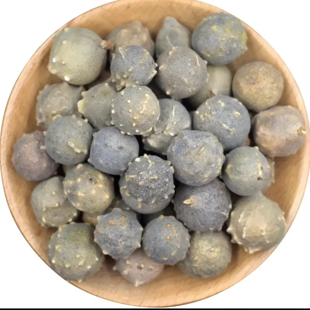 【高原小慧】春虫秋果