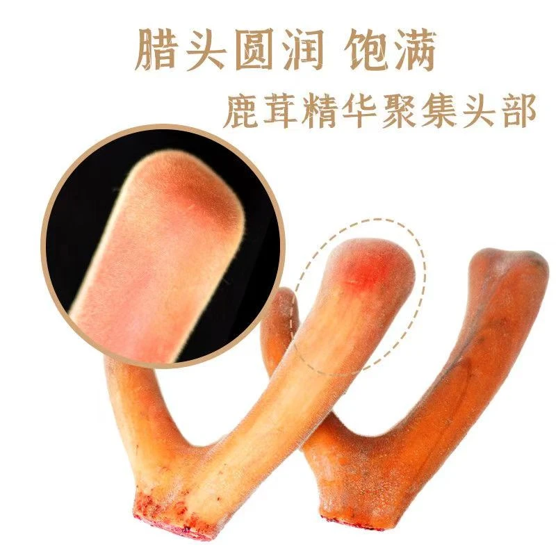新鲜林下散养梅花鹿心红精华