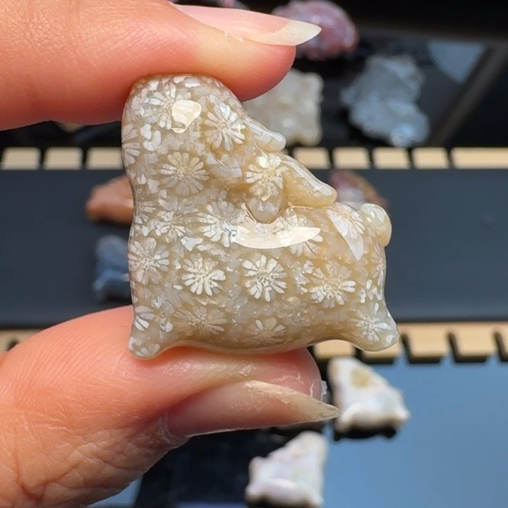 硅化玉合金颈饰福利