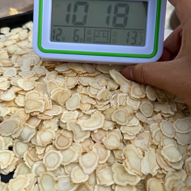 长白山林下西洋参.2