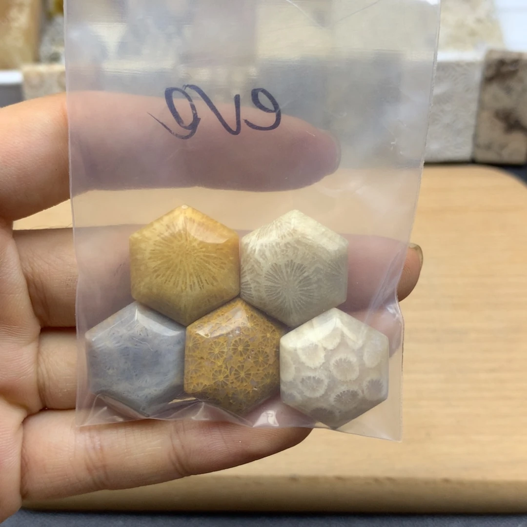 e***e未镶嵌硅化珊瑚（珊瑚玉）
