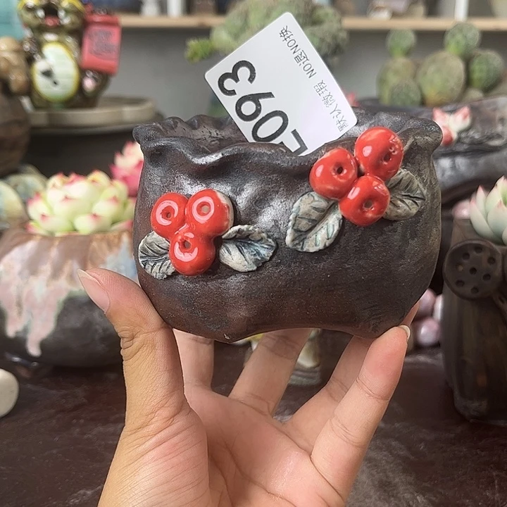 重庆小燕子欢迎大家093