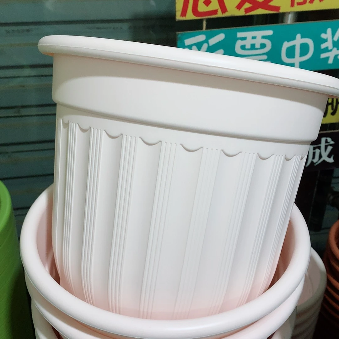 树脂罗马口3粉3个无托