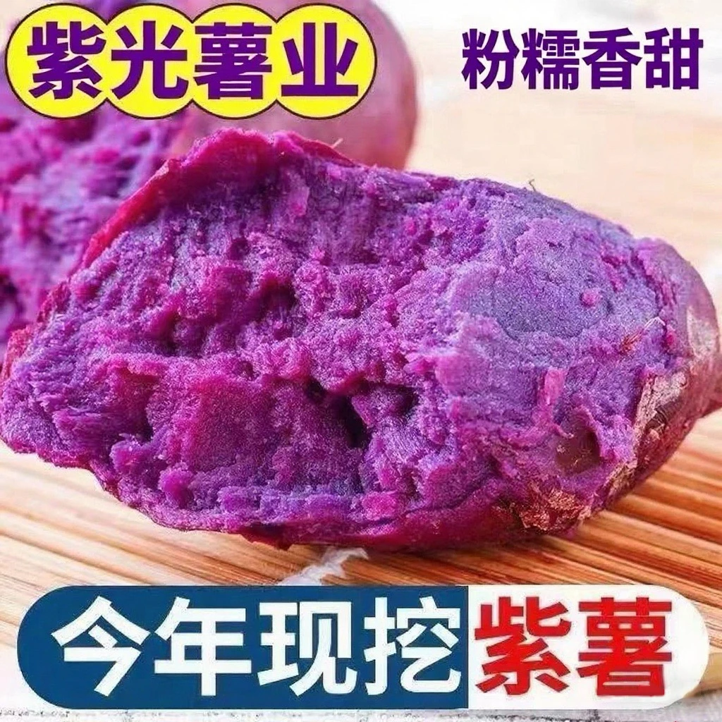 【商超品质】紫光薯业沙地番薯种植现挖紫薯紫罗兰地瓜蔬菜批发