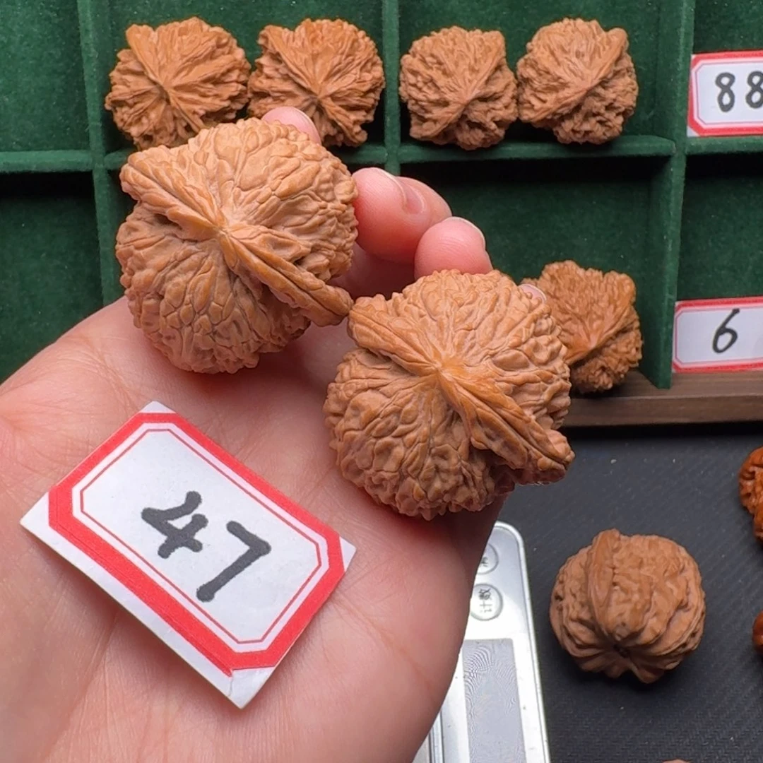 文玩核桃吊坠白狮子41尺