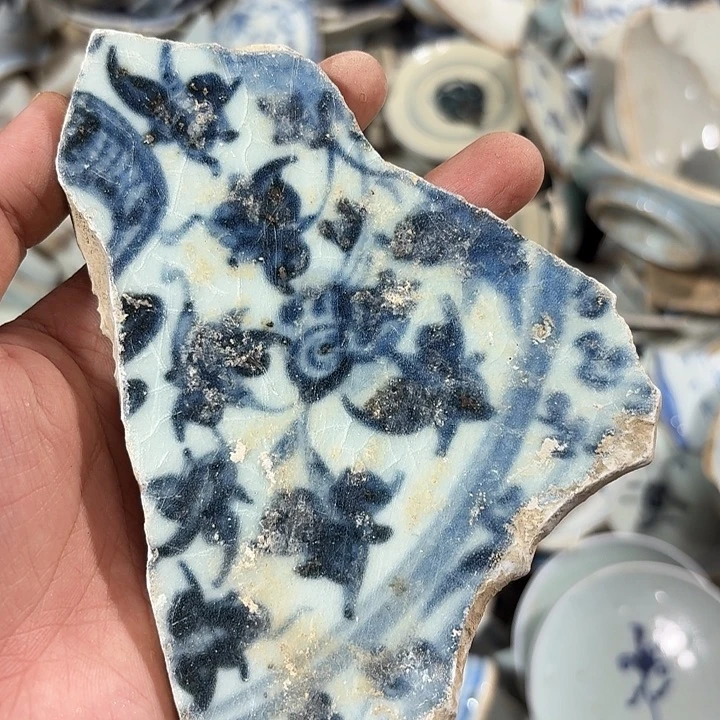 瓷片瓷片标本，顺丰包邮