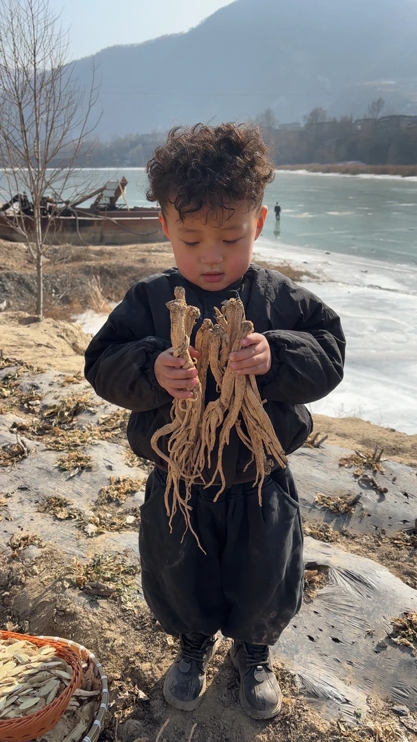 【老党参】甘肃岷县深山人工采挖无熏硫添加