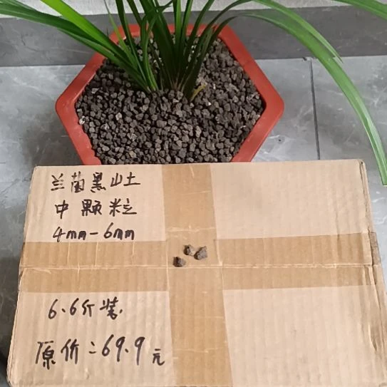 所***得兰菌黑山土中颗粒6.6斤