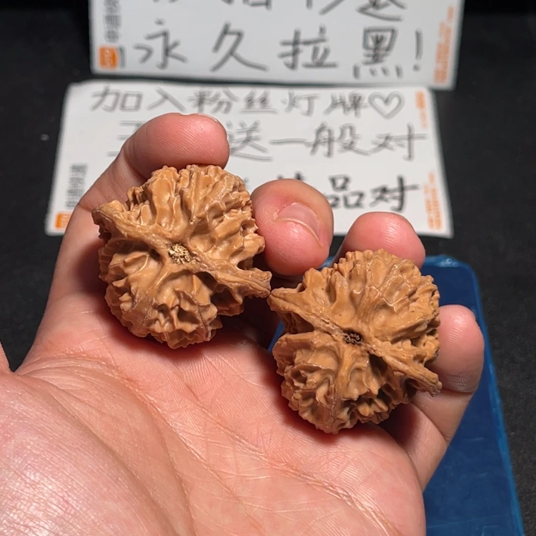 39全品红皮原桩苹果圆有小蹦尖对歪