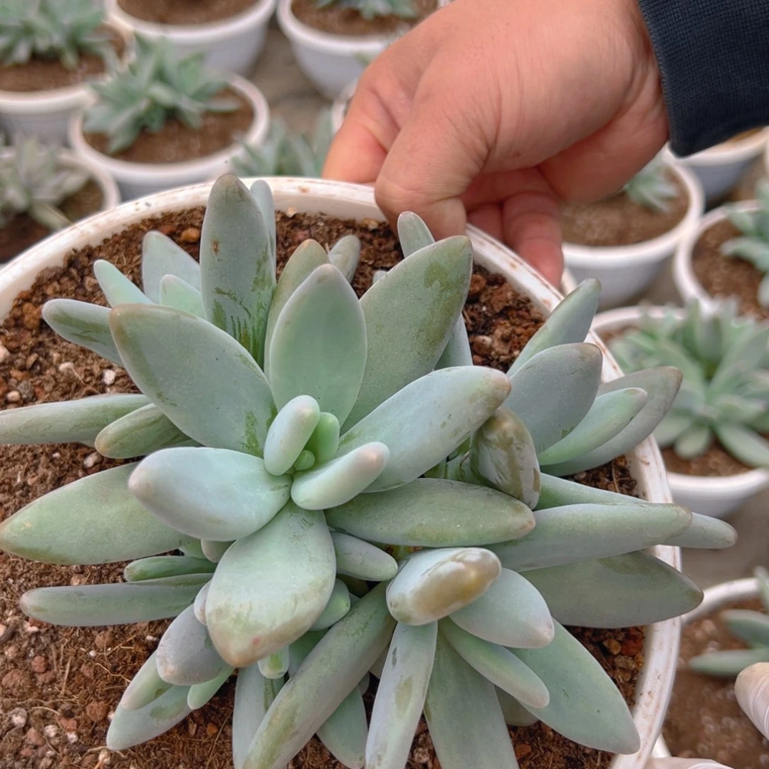 71111111111111111111