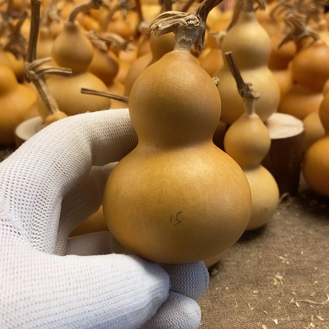 文玩葫芦 完美主义者 慎拍15