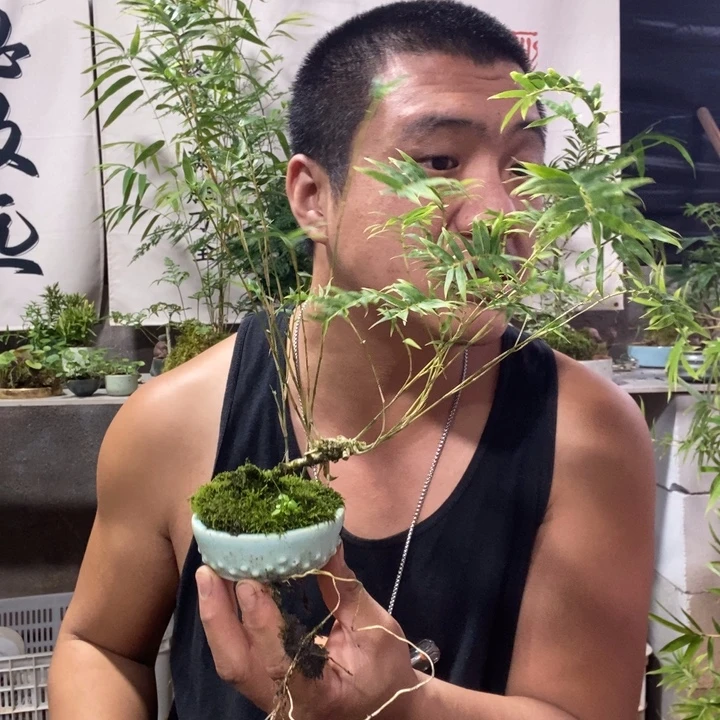恪***心无花朵退款拉黑拉黑264
