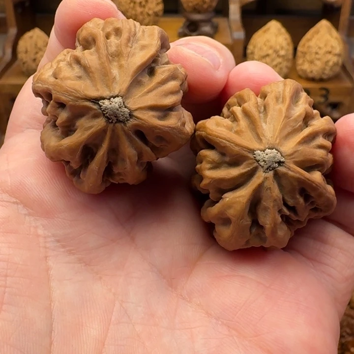 文玩核桃吊坠川****博SLW22版精