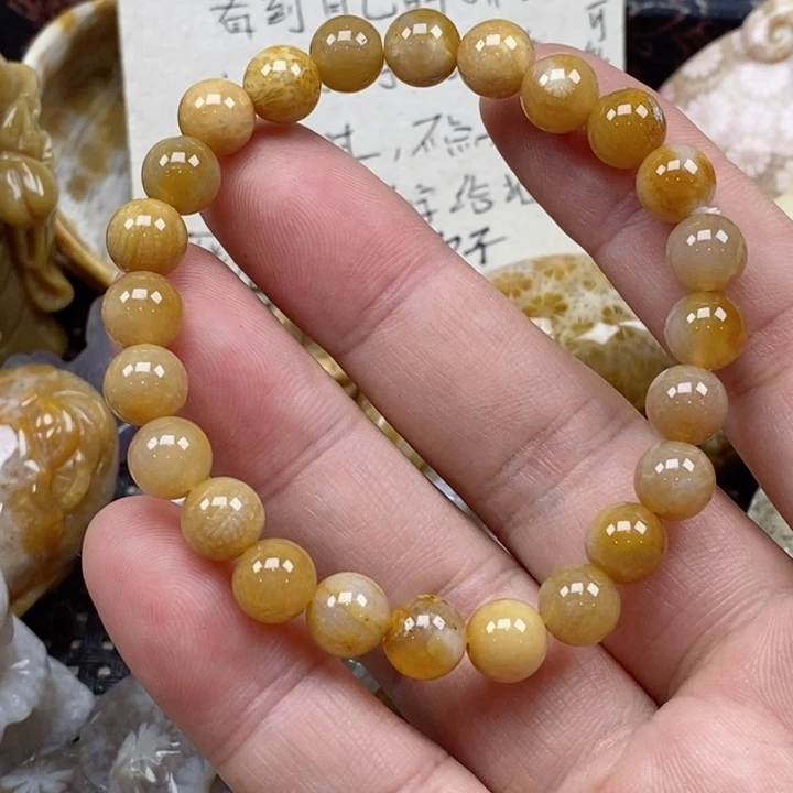 颈饰未镶嵌硅化珊瑚（珊瑚玉）
