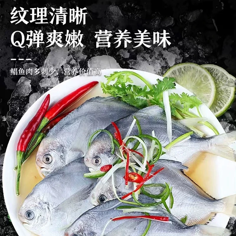 【鲜】大连野生银鲳鱼小鲳鱼镜鱼晶鱼4斤装(35条左右) 顺丰包邮
