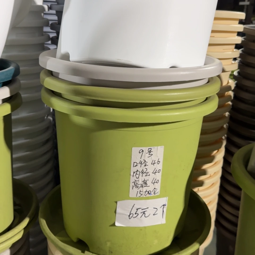 微瑕9#口径46无拖果绿3个