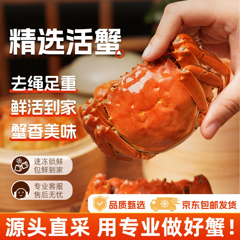 【活蟹】大闸蟹母5.0-5.3两 公6.0-6.3两 3对6只 去绳足重螃蟹礼盒