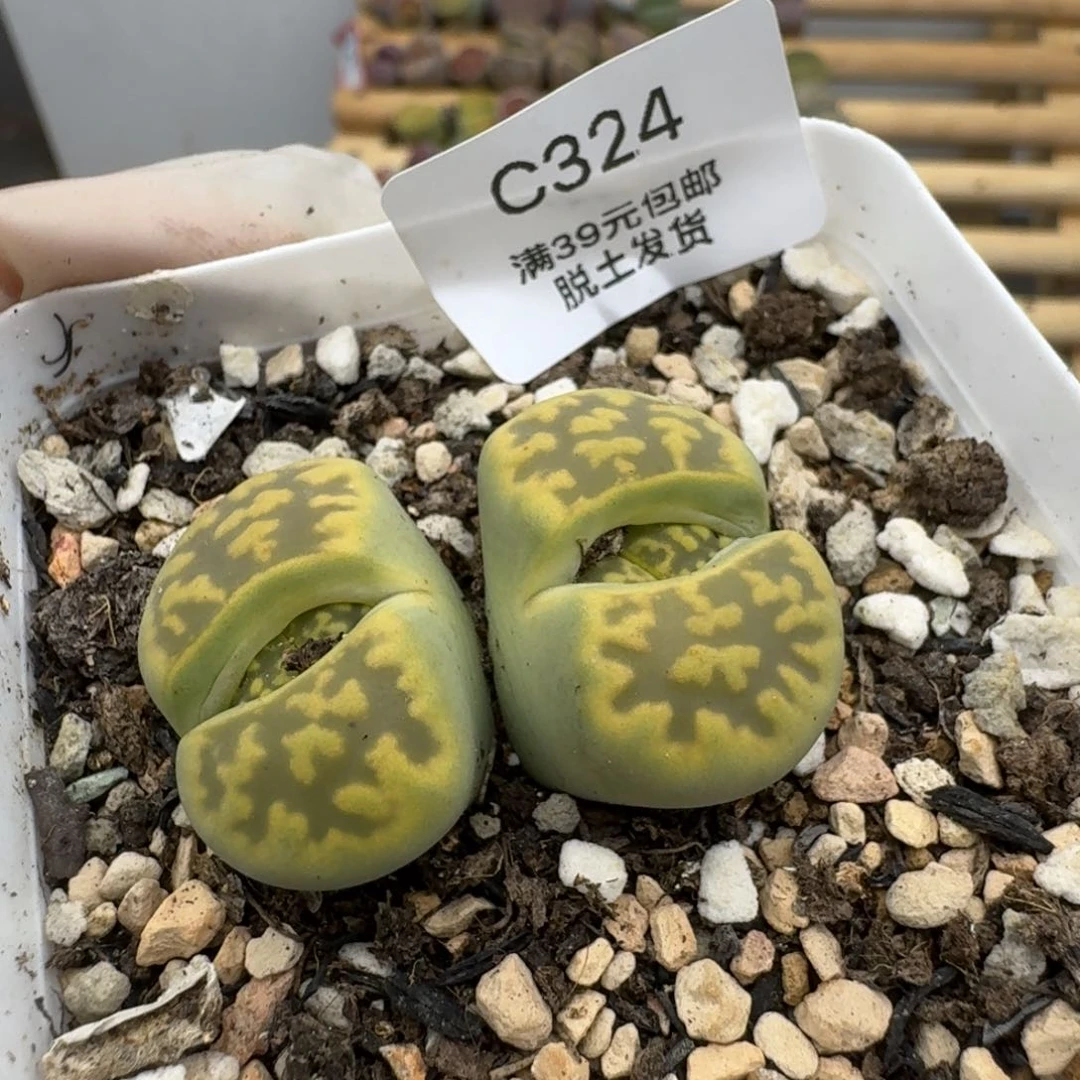 324哈哈哈哈哈哈哈哈哈哈