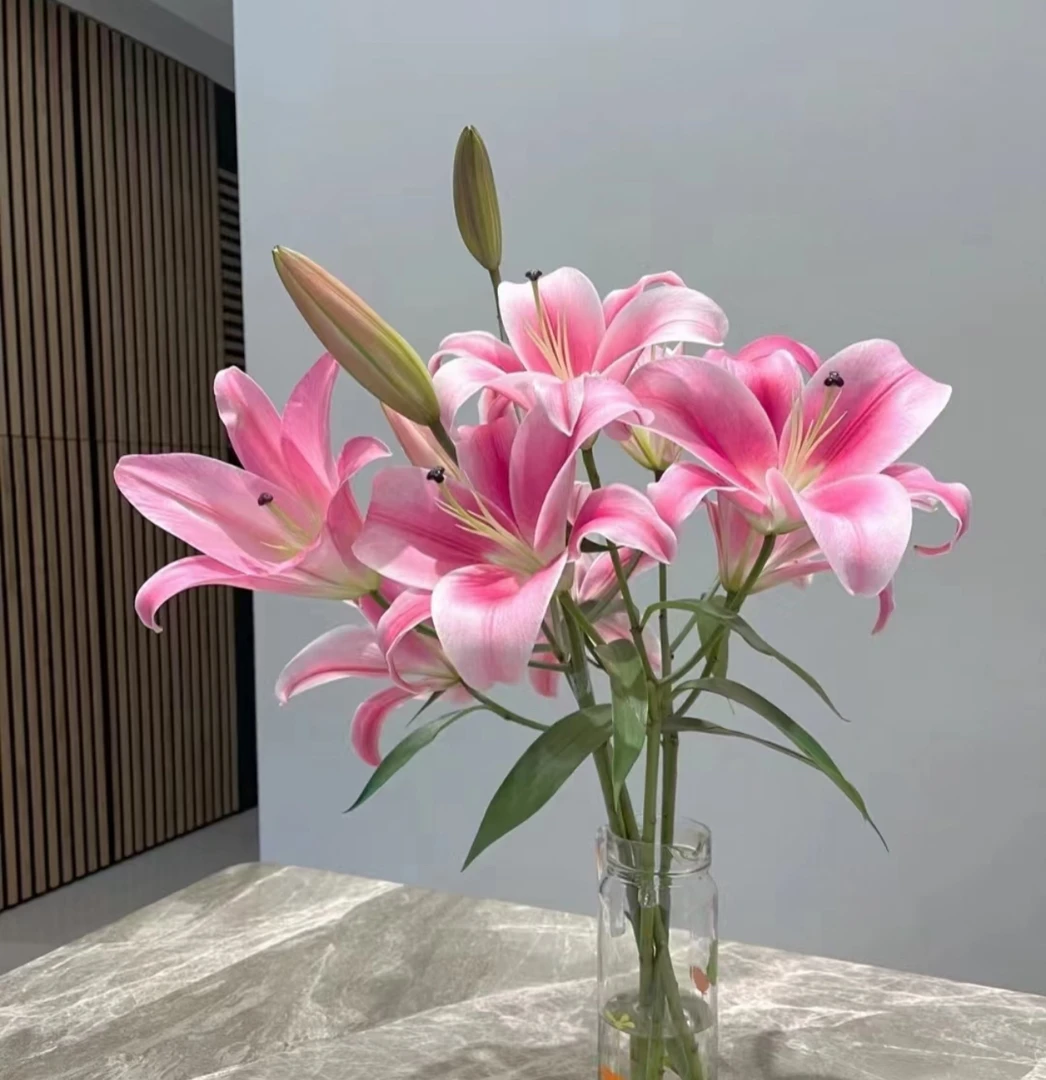【普拉芬多AK】粉色大花苞香水百合 |满两单鲜花包邮