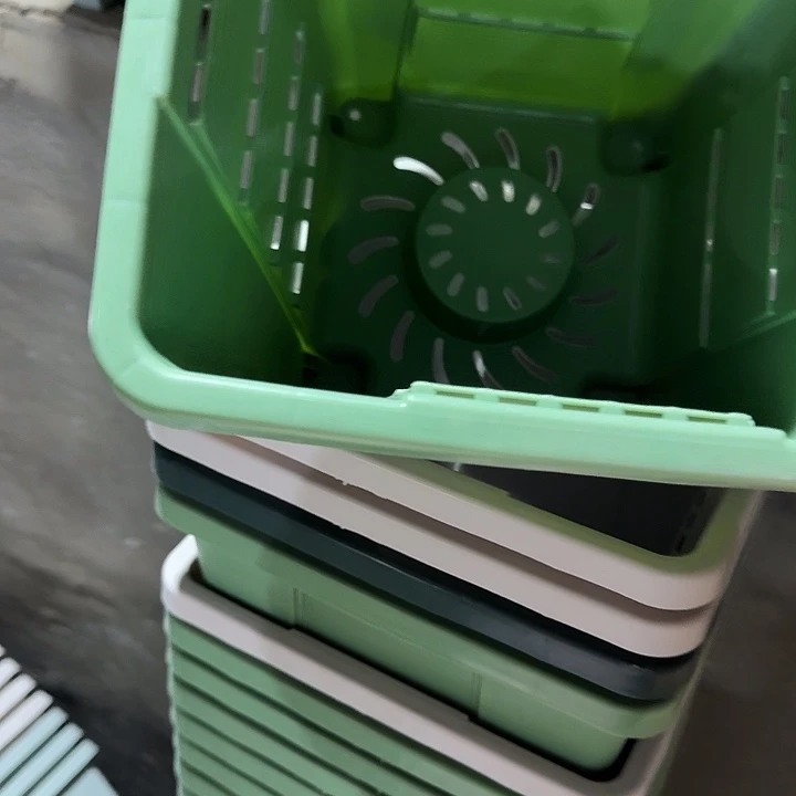 编号403果绿无托4个