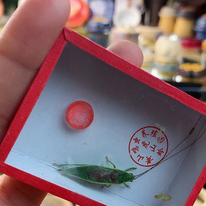 李***二金螽一只精品啊啊啊啊啊啊