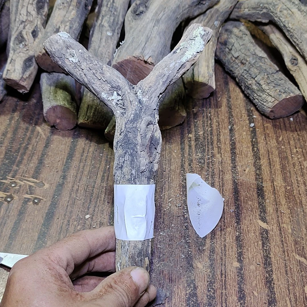 -***H火琉璃原杈，不保沉水，慎拍！