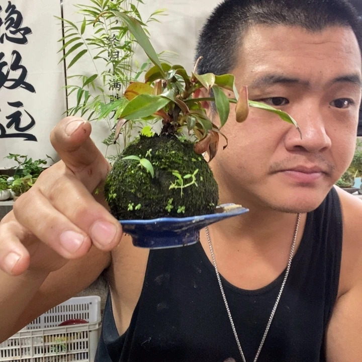 无花朵退款拉黑拉黑149