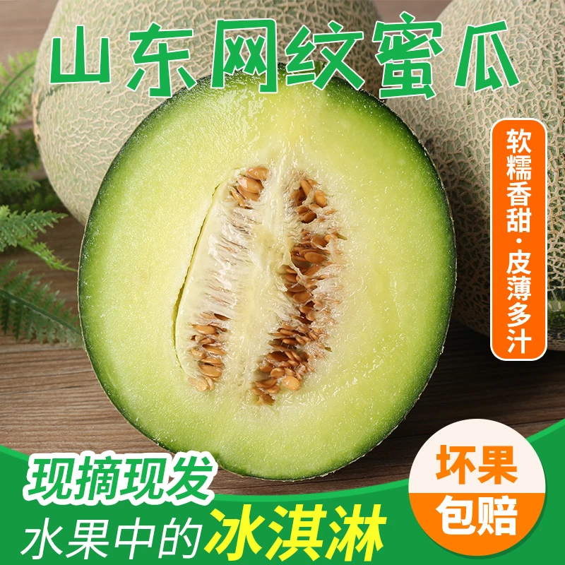 【顺丰包邮】山东网纹甜瓜净重5斤 产地顺丰发货