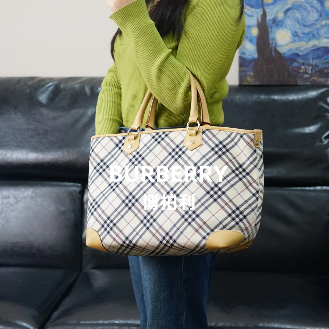 95新 BURBERRY/博柏利 巴宝莉/格纹单肩包/F3YZ12724068/4068