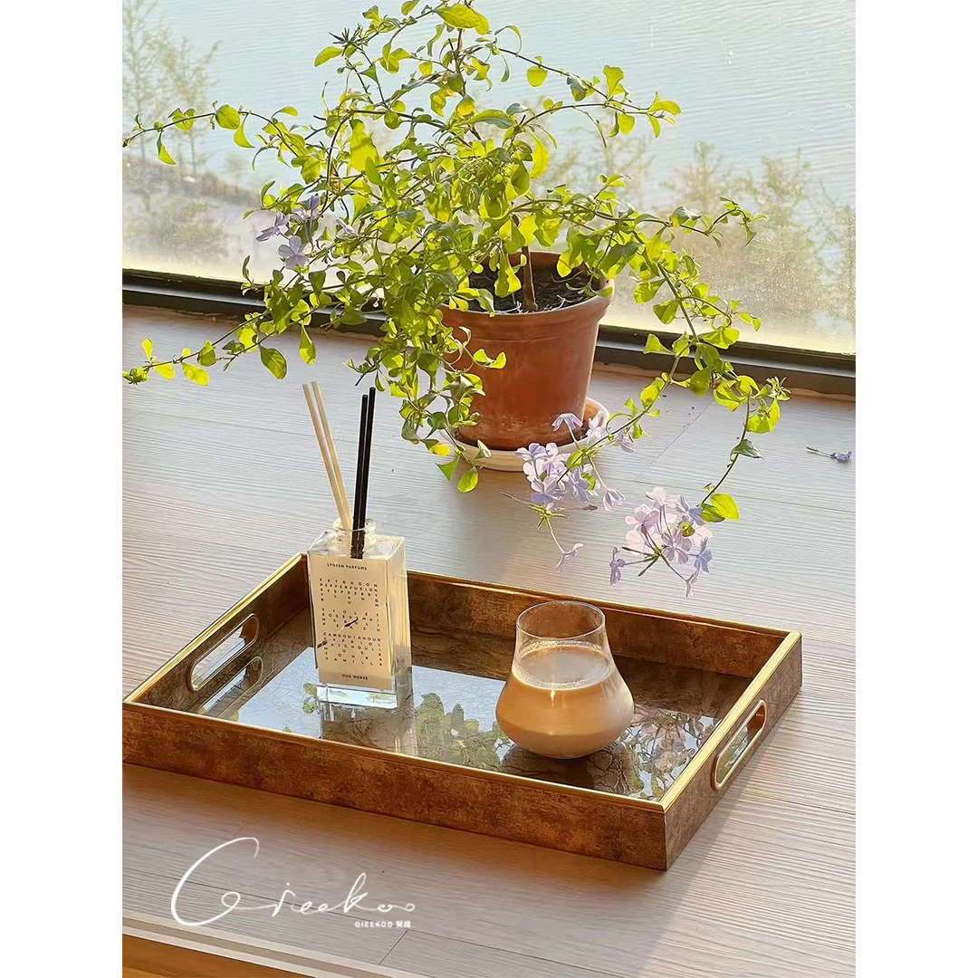 契阔家居简约轻奢金色树脂客厅桌面茶盘精致高级感长方形收纳托盘