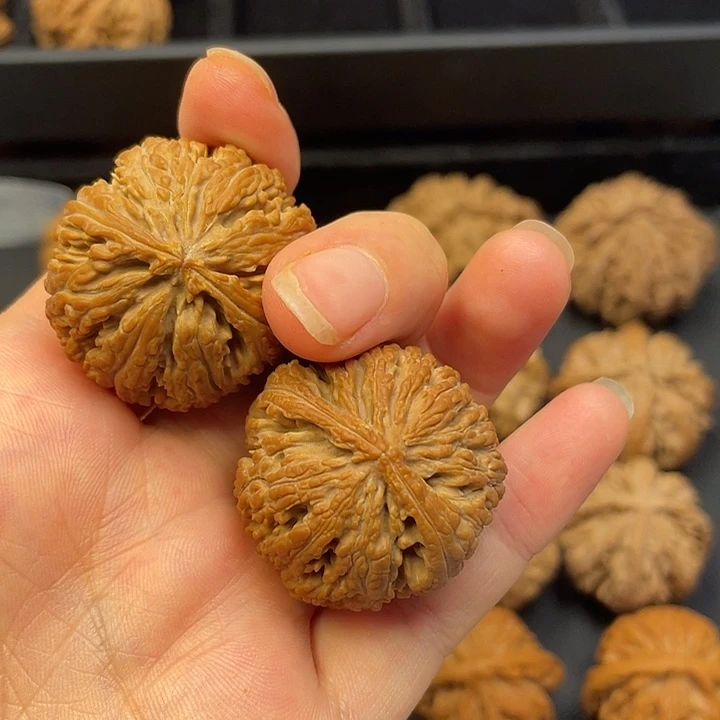 扶***º吊坠文玩核桃秦岭山脉的南缘有两