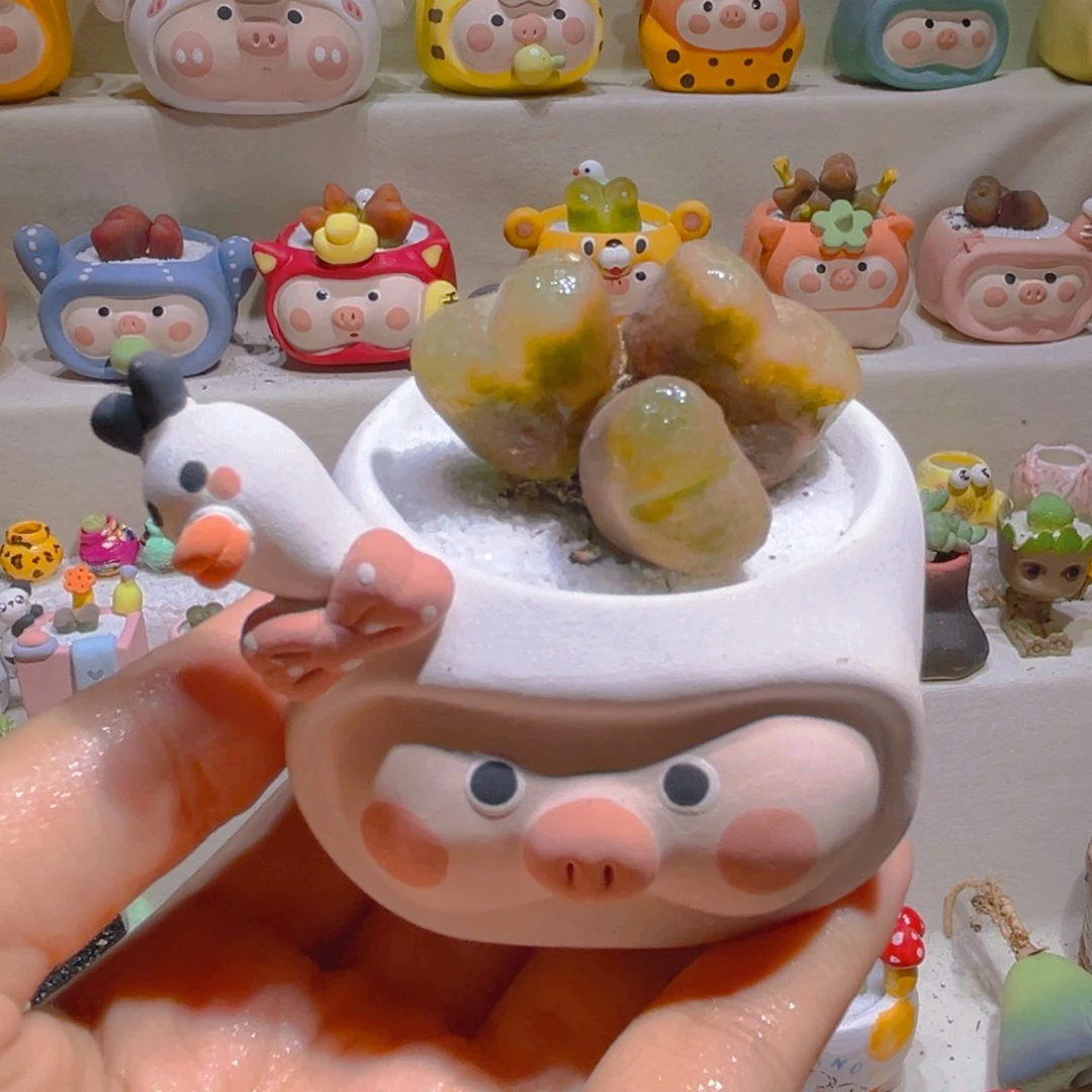 137高端多肉带盆带土手工盆