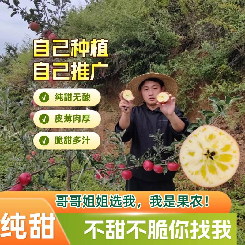 云南昭通丑苹果红露品种脆甜多汁冰糖心新鲜现摘水果