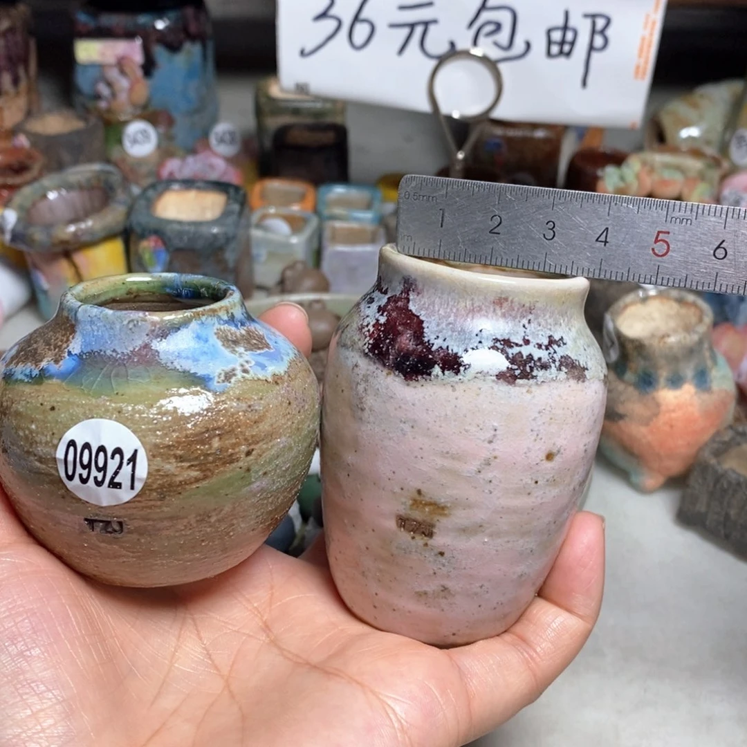 j**c拍5送一个小礼物