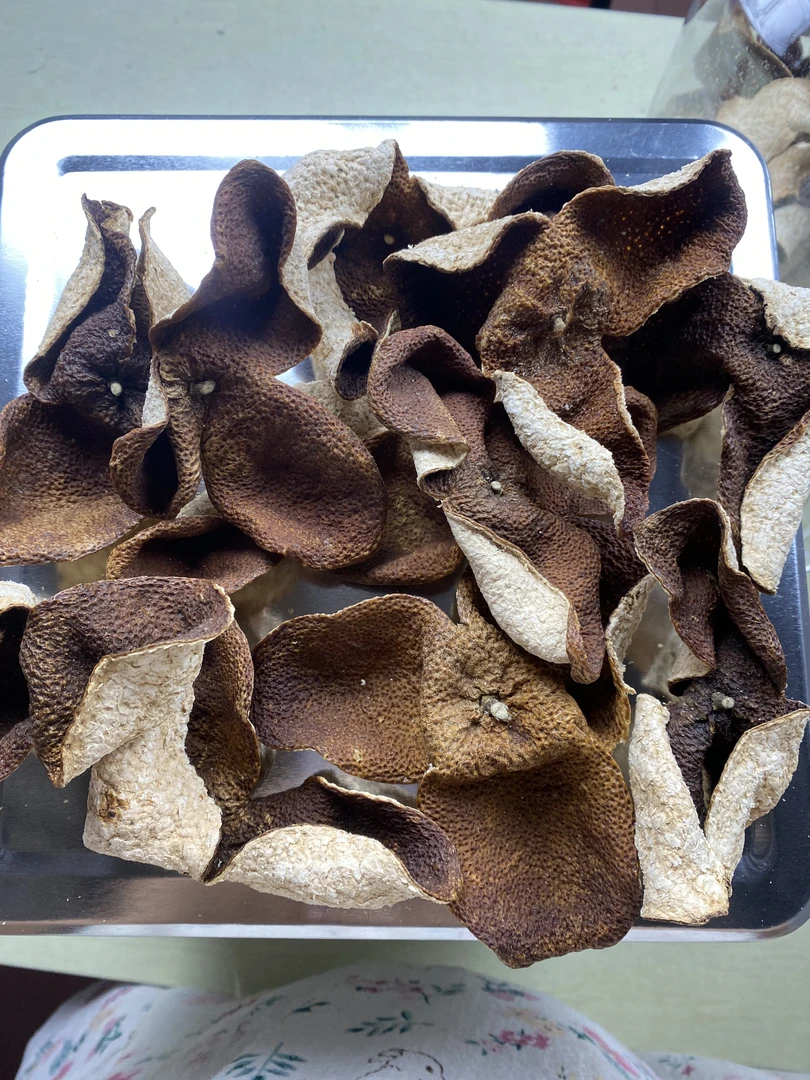 2023年冬至前圈枝大红皮