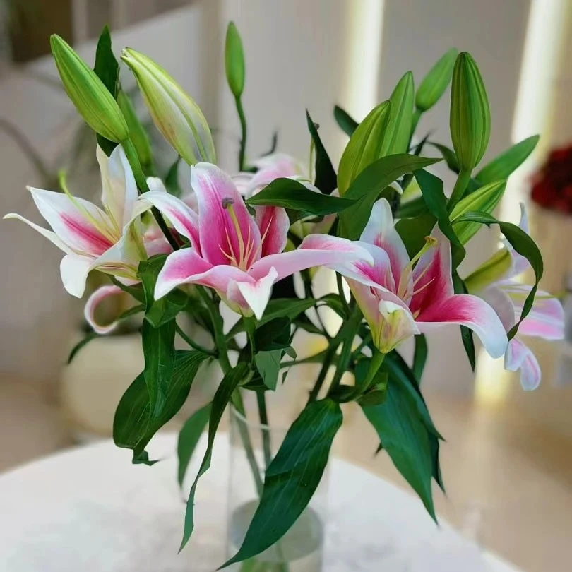 粉色香水百合3支（今天发明天到全场任意两单包邮到家）