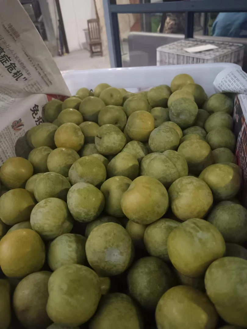 青脆李 约500克/份