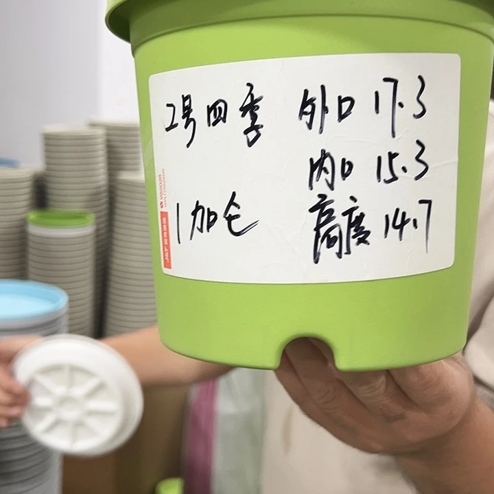 特价2号四季口17高14混色10个带托