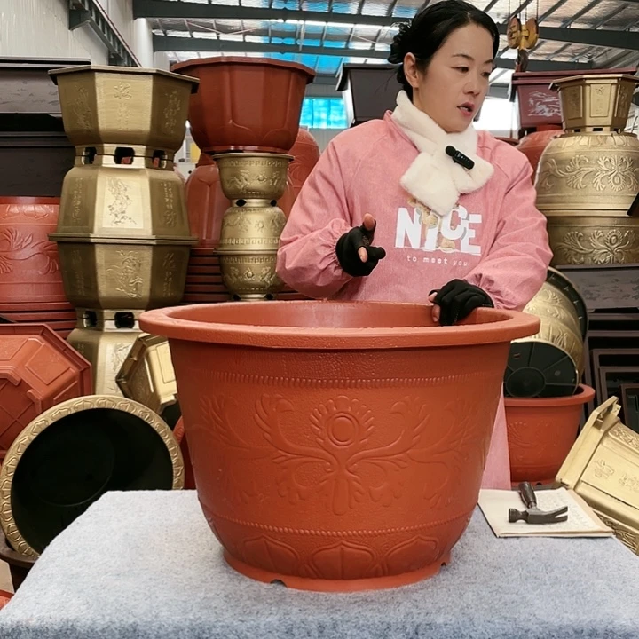 圆盆红色五零两个
