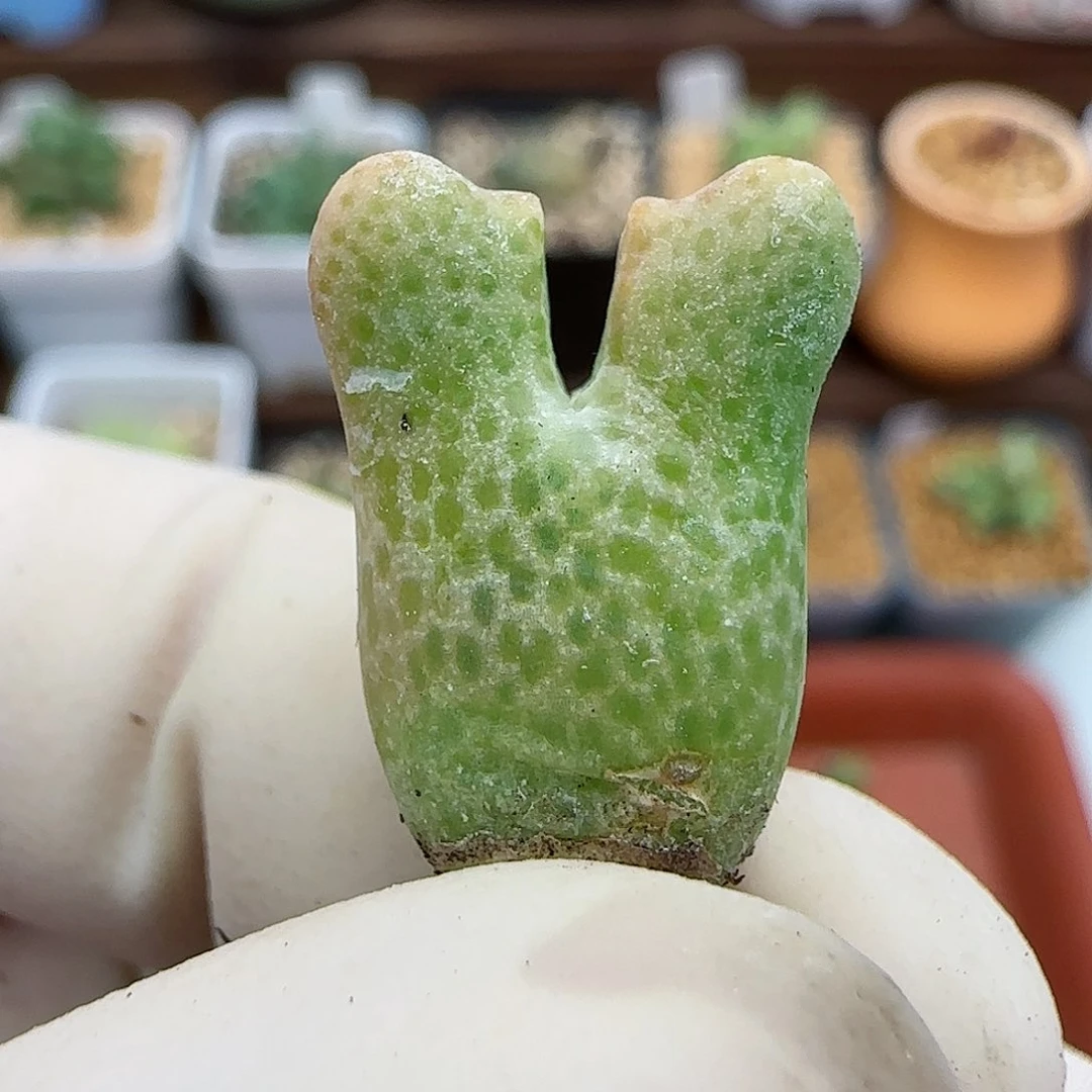 216福利福利福利