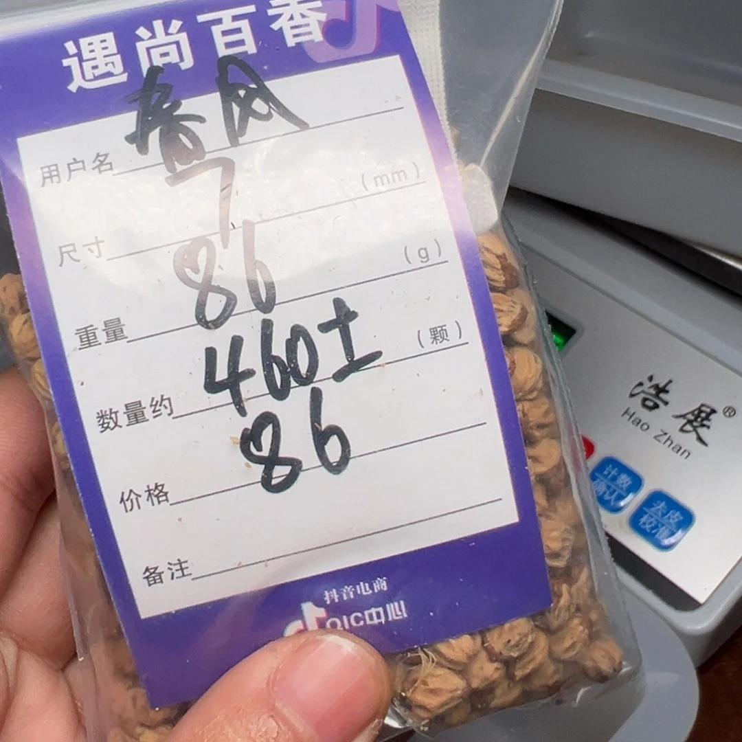 柏香籽/百香籽吊坠遇****风