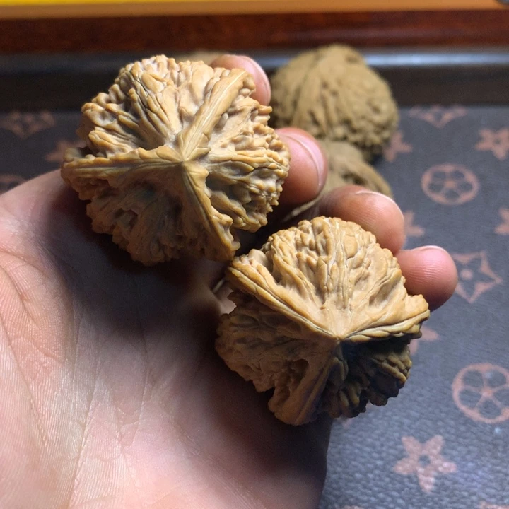 徐*年39文山三棱核头