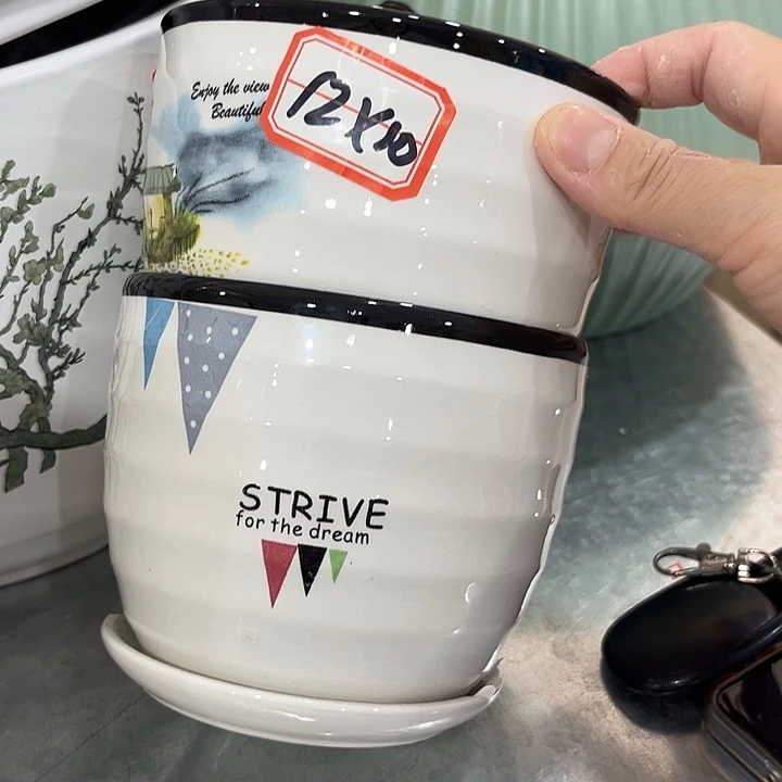 花盆花盆花盆花盆花盆花盆花盆