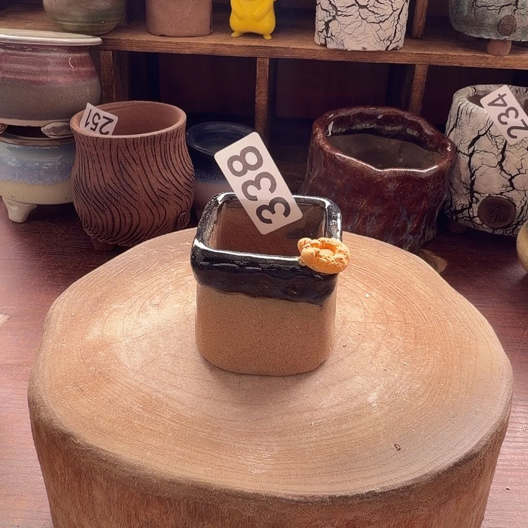 爱买不买三十八发