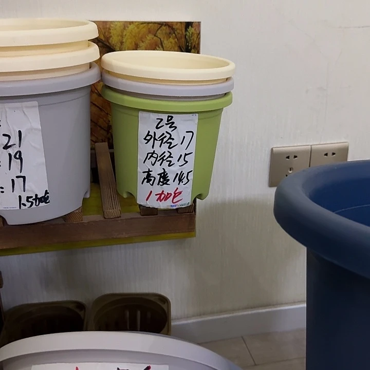 果绿色2号口径17无托10个