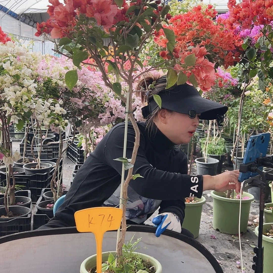 七***风大部分花苞少量开放K74不甜西瓜