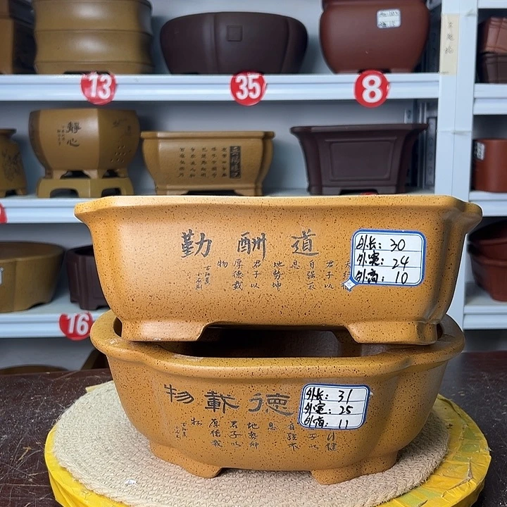 紫砂花盆你在一起